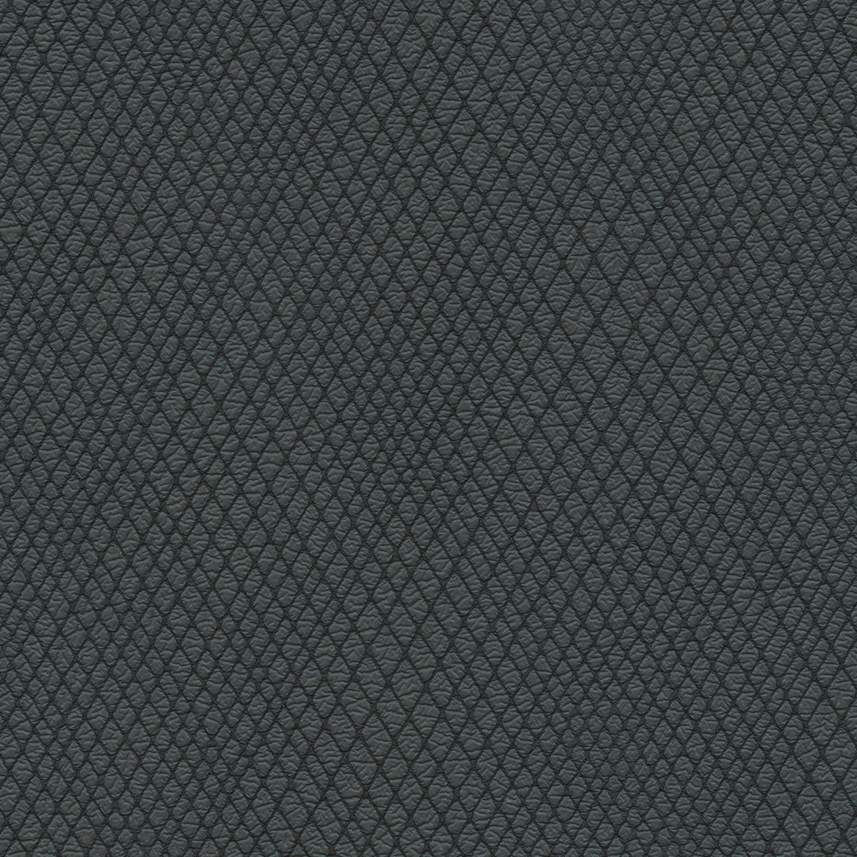 NICHOLASJOHN INC NJ-WINRED Black    Fabric - NJ25-3787