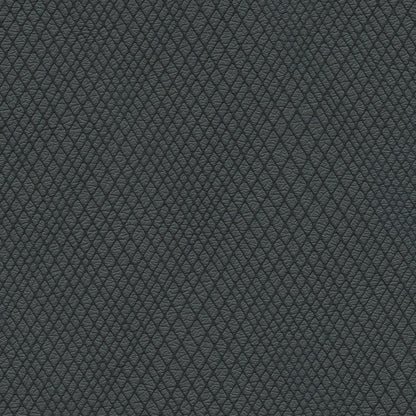 NICHOLASJOHN INC NJ-WINRED Black    Fabric - NJ25-3787