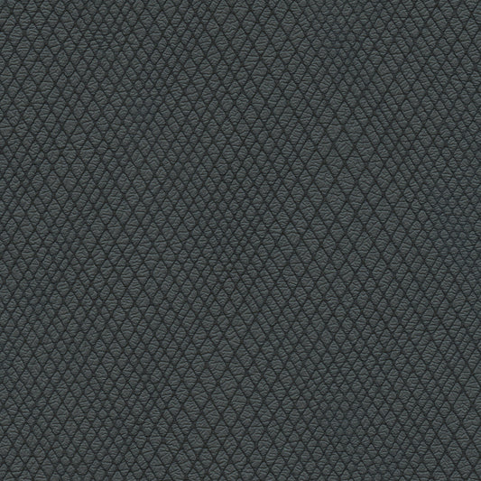 NICHOLASJOHN INC NJ-WINRED Black    Fabric - NJ25-3787