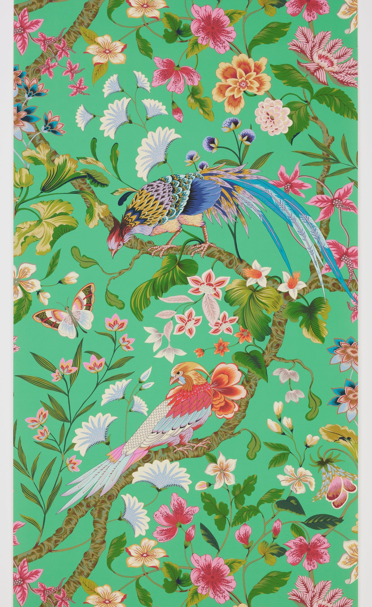 SCALAMANDRE  BOTANY BAY - WALLCOVERING BIRD , ANIMAL 
BOTANICAL , FOLIAGE 
FLORAL JADE   - WJR00066822D NEW SKU # WJR6822D0006