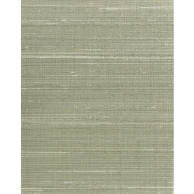 WINFIELD THYBONY AMBROSE SILK--SOLID-TEXTURE SAGE,,   - WNS5556.WT.0