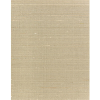 WINFIELD THYBONY AMBROSE SILK--SOLID-TEXTURE BEIGE,KHAKI,   - WNS5564.WT.0