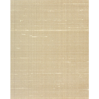 WINFIELD THYBONY CARRINGTON SILK--SOLID-TEXTURE BEIGE,TAUPE,   - WNS5593.WT.0