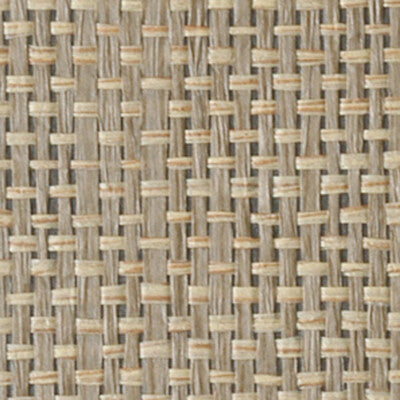 WINFIELD THYBONY PAPERWEAVE ---TEXTURE ,,   - WOC2432.WT.0