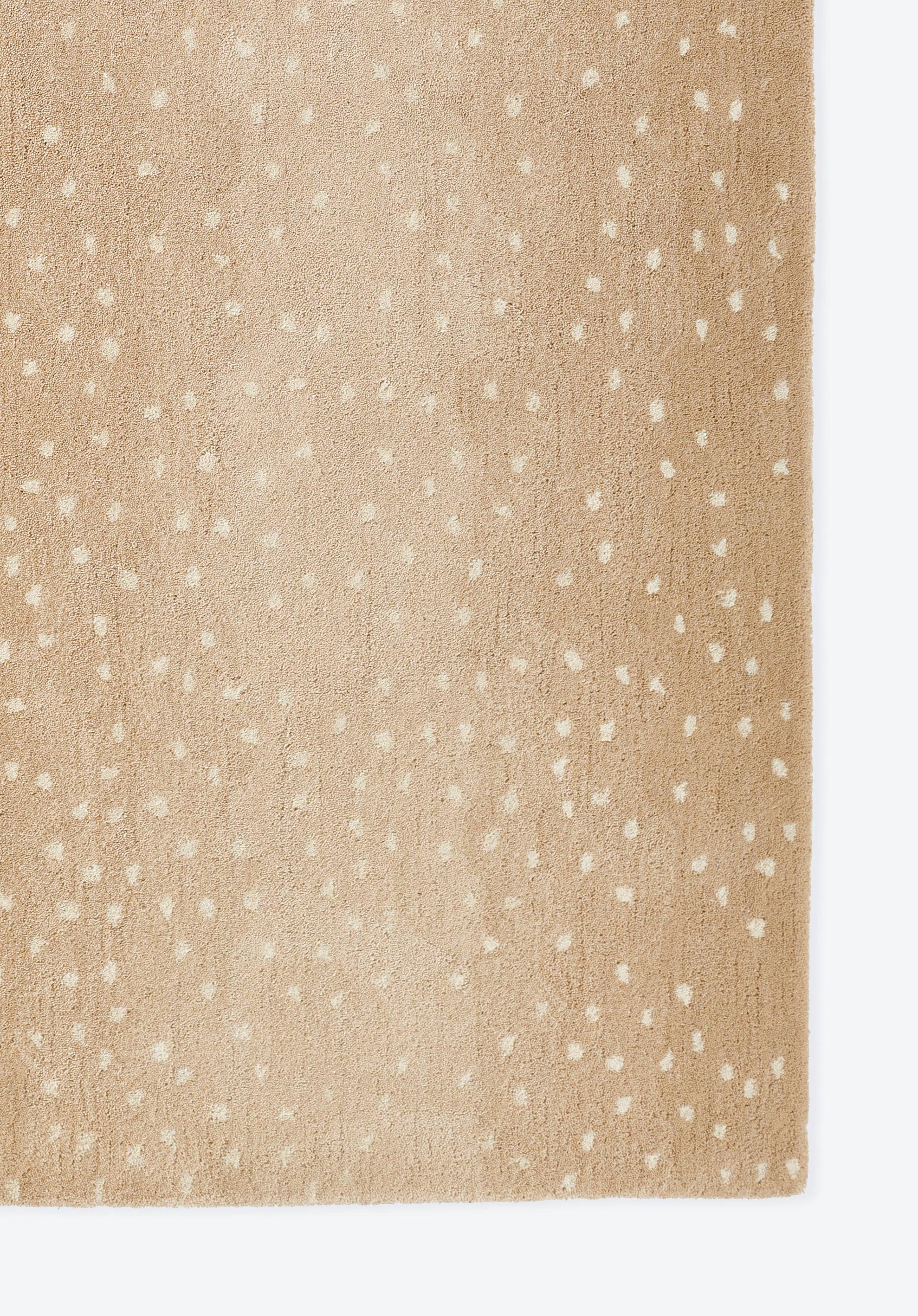 Beige speckled rug with a suede-like close-up texture and tiny white dots; size 2' x 3'.