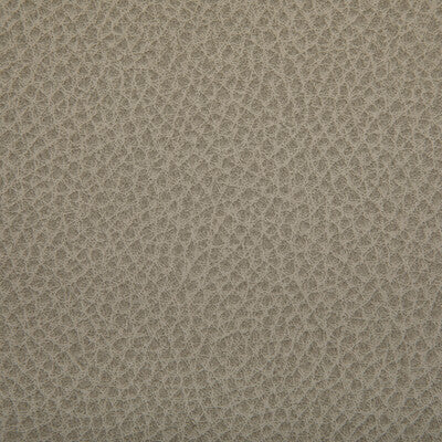 KRAVET CONTRACT VINYL/FAUX LEATHER  IVORY,GREY,BEIGE   - WOOLF.121.0