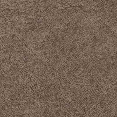 WINFIELD THYBONY ENDURING VINYL/FAUX LEATHER--SOLID-TEXTURE ,,   - WPW1120.WT.0