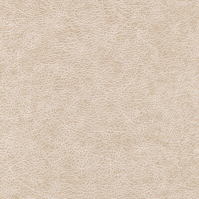 WINFIELD THYBONY ENDURING VINYL/FAUX LEATHER--SOLID-TEXTURE ,,   - WPW1124.WT.0