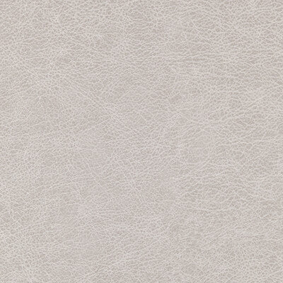 WINFIELD THYBONY ENDURING VINYL/FAUX LEATHER--SOLID-TEXTURE ,,   - WPW1125.WT.0