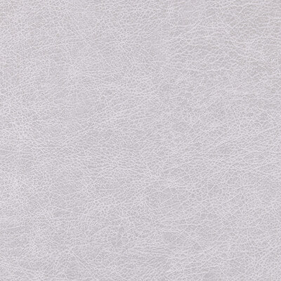 WINFIELD THYBONY ENDURING VINYL/FAUX LEATHER--SOLID-TEXTURE ,,   - WPW1127.WT.0