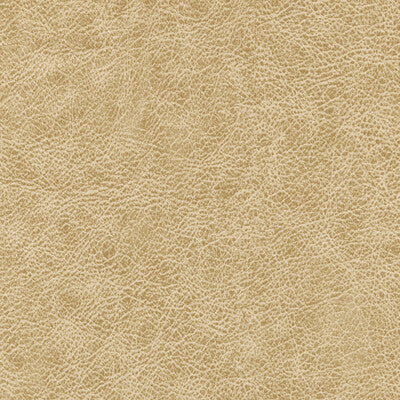 WINFIELD THYBONY ENDURING VINYL/FAUX LEATHER--SOLID-TEXTURE ,,   - WPW1129.WT.0