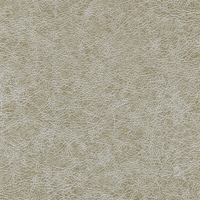 WINFIELD THYBONY ENDURING VINYL/FAUX LEATHER--SOLID-TEXTURE ,,   - WPW1131.WT.0