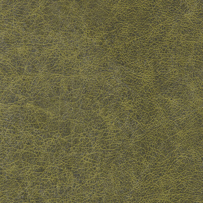 WINFIELD THYBONY ENDURING VINYL/FAUX LEATHER--SOLID-TEXTURE ,,   - WPW1132.WT.0