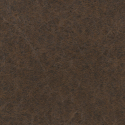 WINFIELD THYBONY ENDURING VINYL/FAUX LEATHER--SOLID-TEXTURE ,,   - WPW1133.WT.0