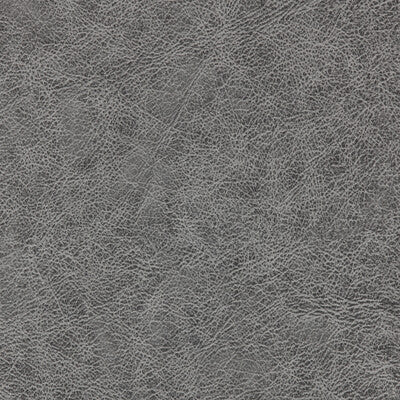 WINFIELD THYBONY ENDURING VINYL/FAUX LEATHER--SOLID-TEXTURE ,,   - WPW1134.WT.0