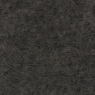 WINFIELD THYBONY ENDURING VINYL/FAUX LEATHER--SOLID-TEXTURE ,,   - WPW1135.WT.0