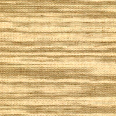 WINFIELD THYBONY SISAL WINFIELD THYBONY SIMPLY SISAL WINFIELD THYBONY  ,,  WALLCOVERING - WSS4524.WT.0