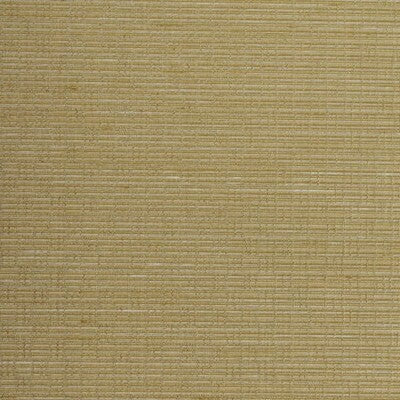 WINFIELD THYBONY WINFIELD THYBONY --SOLID-TEXTURE ,,   - WSW4841.WT.0