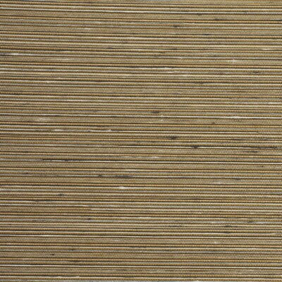 WINFIELD THYBONY WINFIELD THYBONY --SOLID-TEXTURE ,,   - WSW4884.WT.0