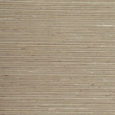 WINFIELD THYBONY WINFIELD THYBONY --SOLID-TEXTURE ,,   - WSW4885.WT.0