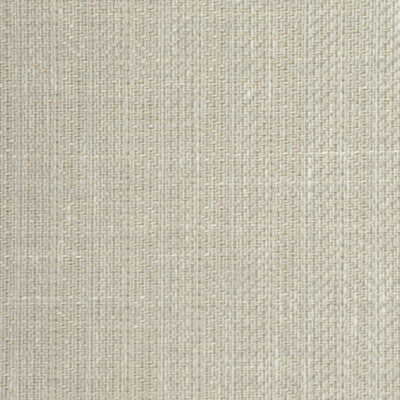 WINFIELD THYBONY CAMERINI LINEN--SOLID-TEXTURE ,,   - WTE6023.WT.0