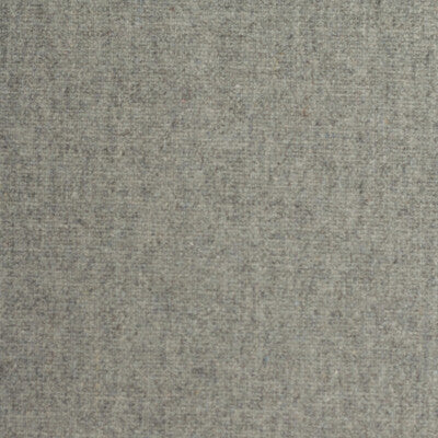 WINFIELD THYBONY SORMANI WOOL--SOLID-TEXTURE ,,   - WTE6051P.WT.0