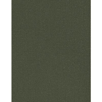 WINFIELD THYBONY OPULENCE VINYL/FAUX LEATHER--SOLID-TEXTURE GREEN,,   - WTN1053.WT.0