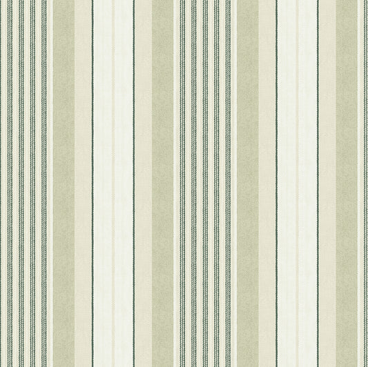 York Wallcoverings NuWallpaper Escot Green Peel and Stick Wallpaper Graphics Transitional Green  Current Peel & Stick - WVS6478