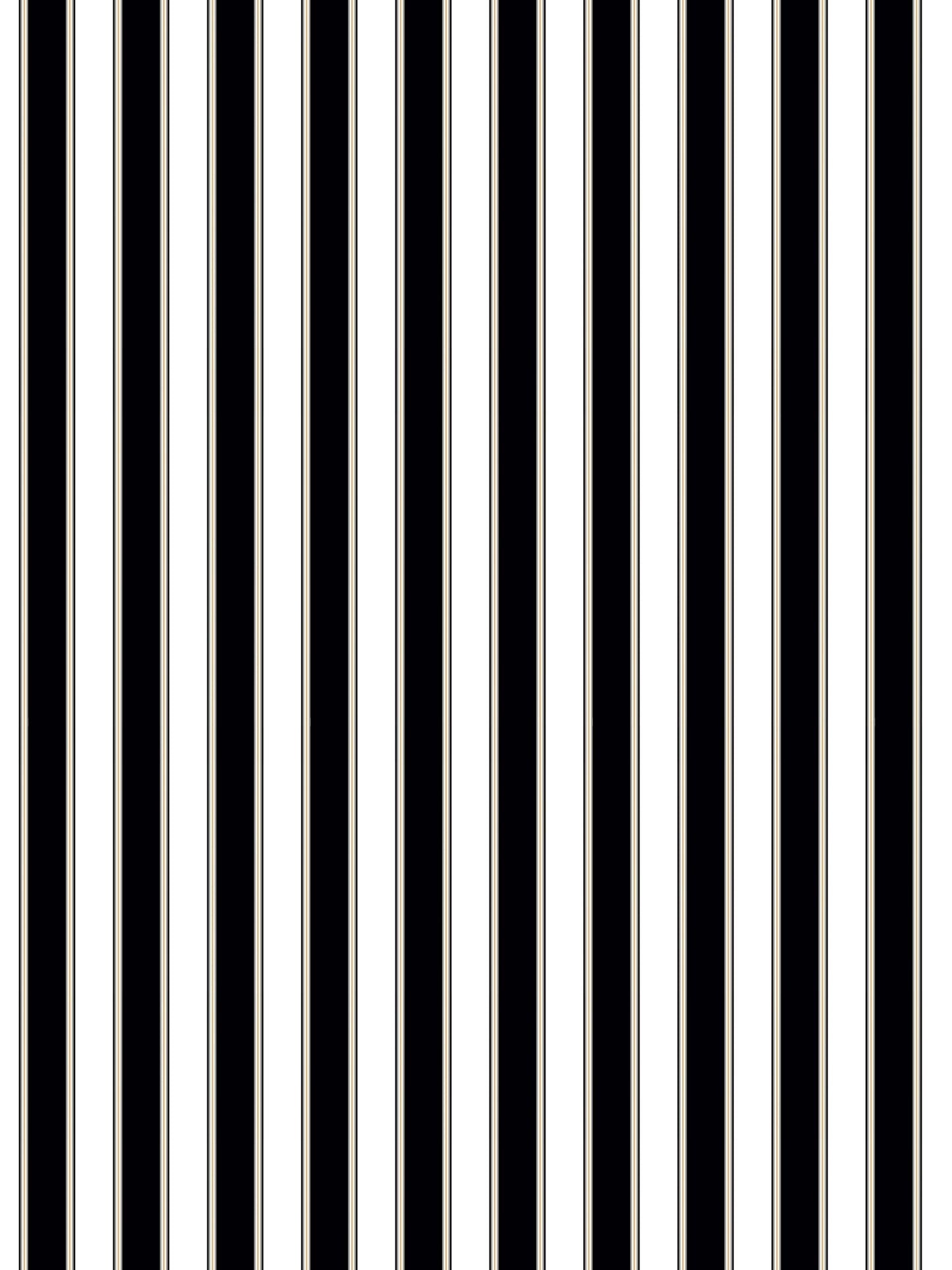 Vertical black and ivory striped pattern; bold repeating stripe design, suitable for wallpaper or upholstery.