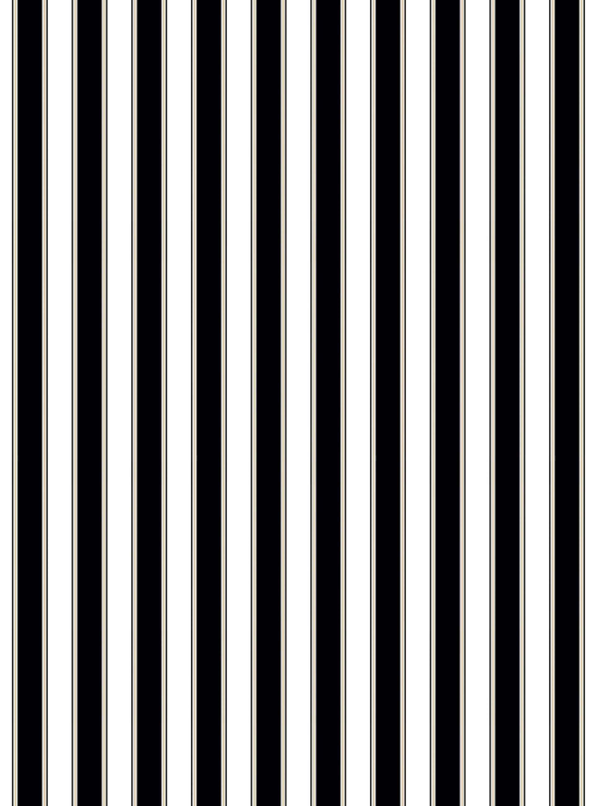 Vertical black and ivory striped pattern; bold repeating stripe design, suitable for wallpaper or upholstery.