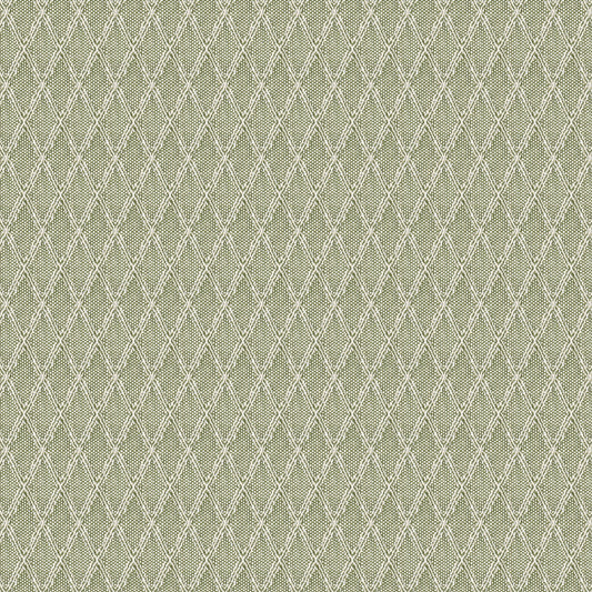 STOUT TEXTILES  MULTIPURPOSE,WOVENS TRADITIONAL, DIAMOND GRASS   - WYNN-2