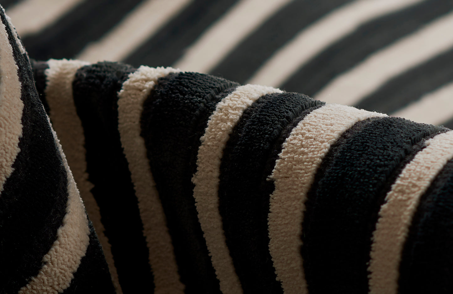 Momeni Rugs   Xander 9'X13'    - XANDEXAN-2BLK93C6