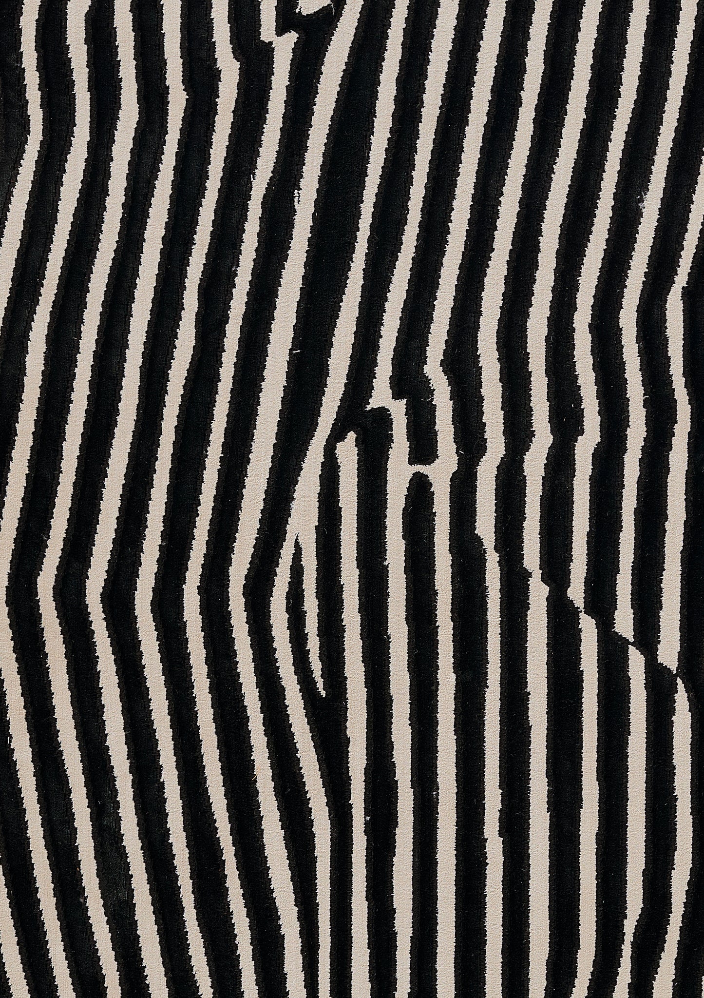 Momeni Rugs   Xander 9'X13'    - XANDEXAN-2BLK93C6