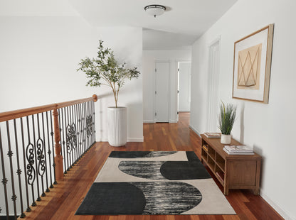 Momeni Rugs   Xander 9'X13'    - XANDEXAN-3IVY93C6