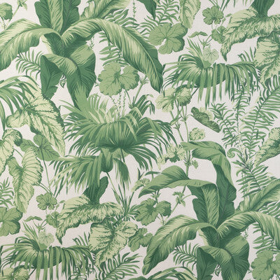 KRAVET COUTURE PRINT  WHITE,CELERY,GREEN   - YASUNI.3.0