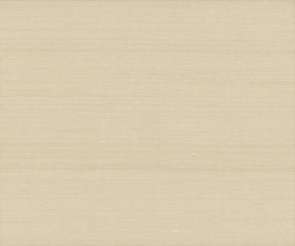Beige grasscloth wallpaper with a subtle horizontal grain; warm cream color and textured abaca shell surface.