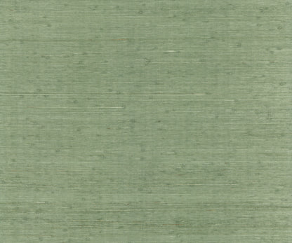 Muted sage green wallpaper with a subtle horizontal grasscloth texture.