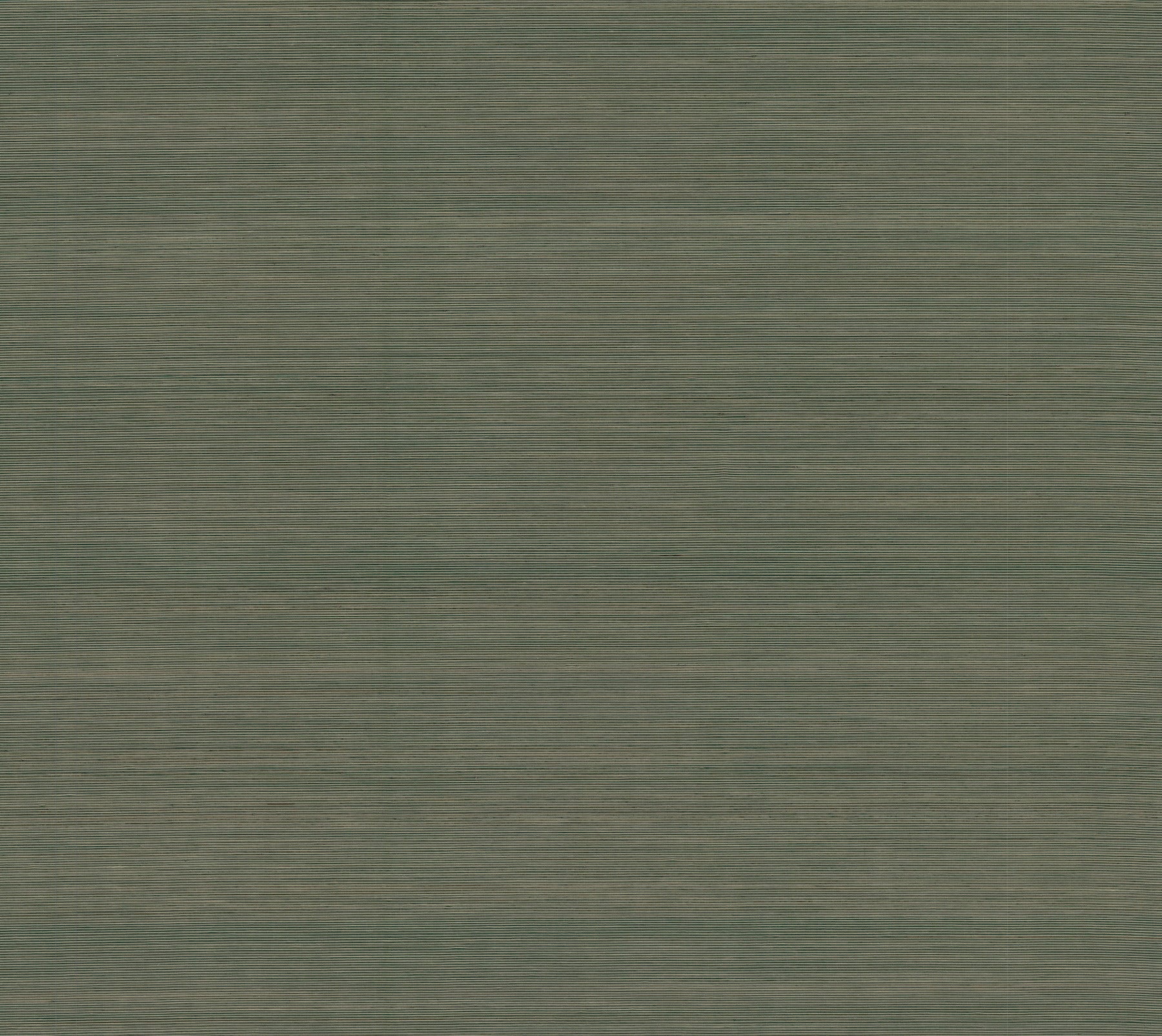 Olive-green brushed texture with subtle horizontal lines, resembling fabric or wallpaper.
