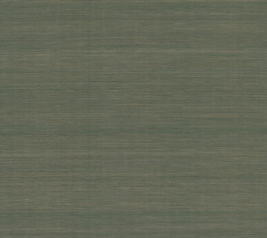York Wallcoverings Ronald Redding Smooth Abaca Forest Wallpaper Grasscloth Naturals Forest  Wallpaper - YGL7092