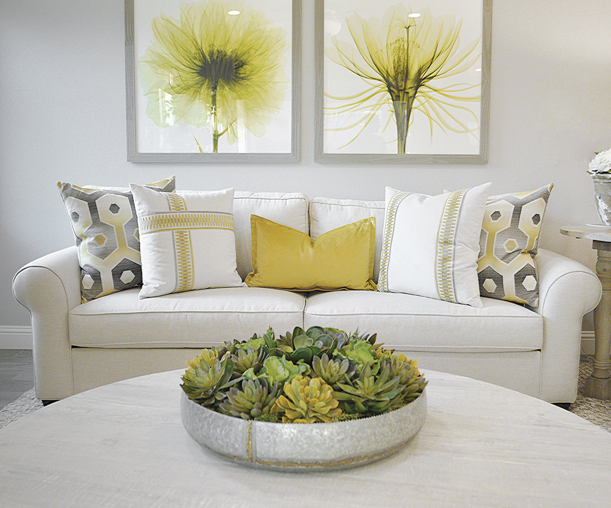 D.V. KAP HOME   24" x 24" Belvedere Flange Pillow - Curry Solid    - 2692-C-2424