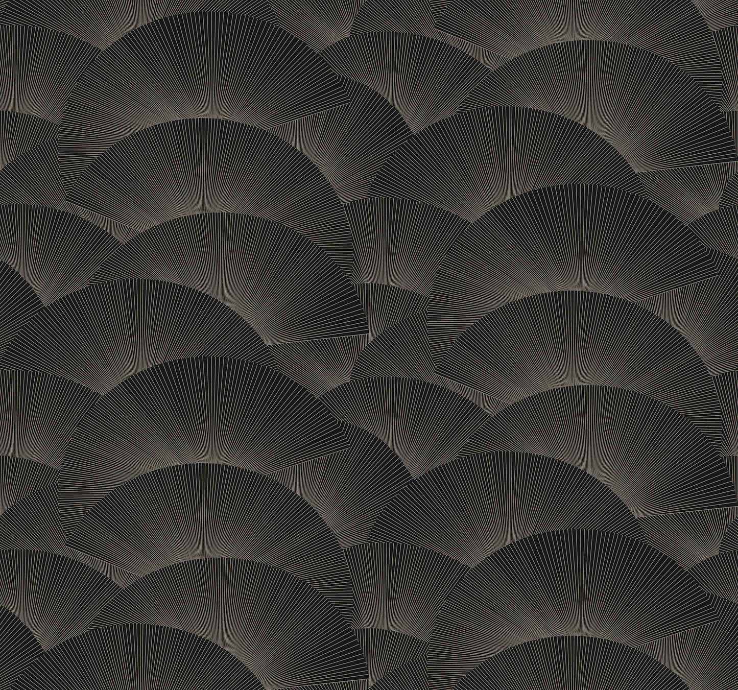 Dark charcoal wallpaper with overlapping scallop/fan shapes and radiating lines; a modern geometric wallcovering.