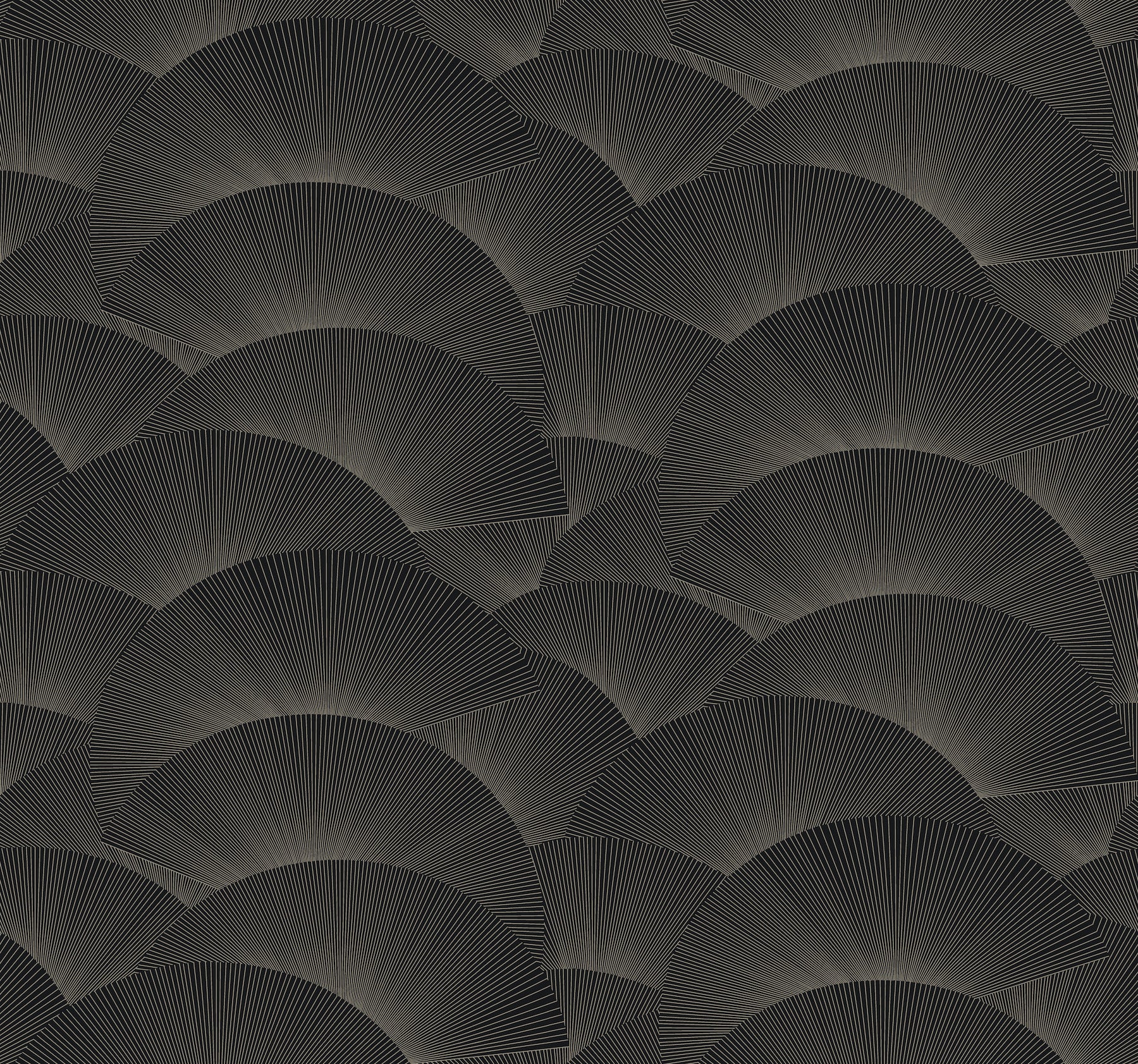 Dark charcoal wallpaper with overlapping scallop/fan shapes and radiating lines; a modern geometric wallcovering.
