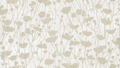York Wallcoverings Tea Garden II Shimmering Poppies White and Gold Wallpaper Modern Florals Whites and Off-Whites   - ZA8069