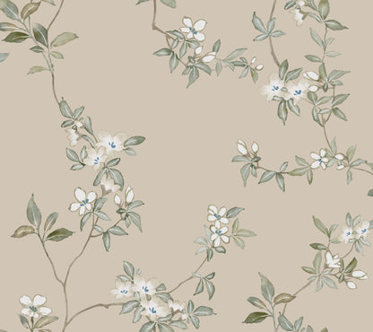 York Wallcoverings Tea Garden II April Blossom Taupe Wallpaper Transitional Florals Browns   - ZA8075