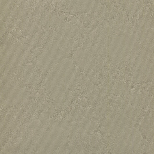 NICHOLASJOHN INC NJ-ZANDI Puma Solid   Fabric - NJ25-3858