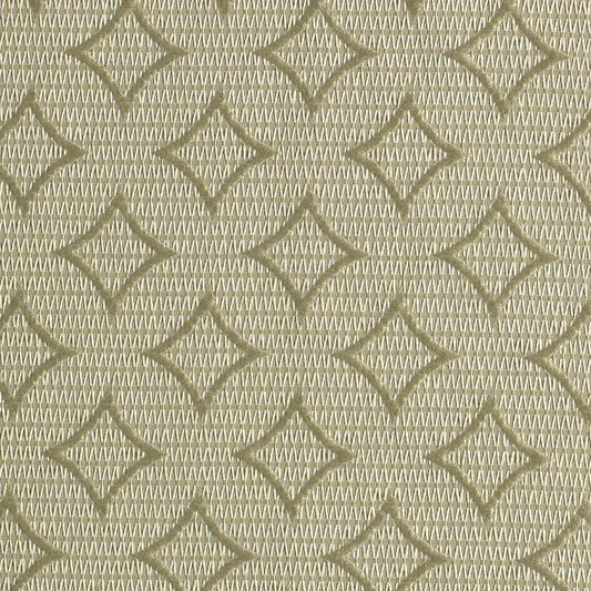 SCALAMANDRE OUTLET  FABRIC GABRIEL CIRCLES  FABRIC GREEN   - ZB 00021578 NEW SKU # ZB15780002