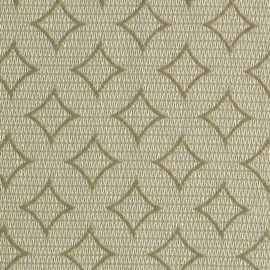 SCALAMANDRE OUTLET  FABRIC GABRIEL CIRCLES  FABRIC GREEN   - ZB 00021578