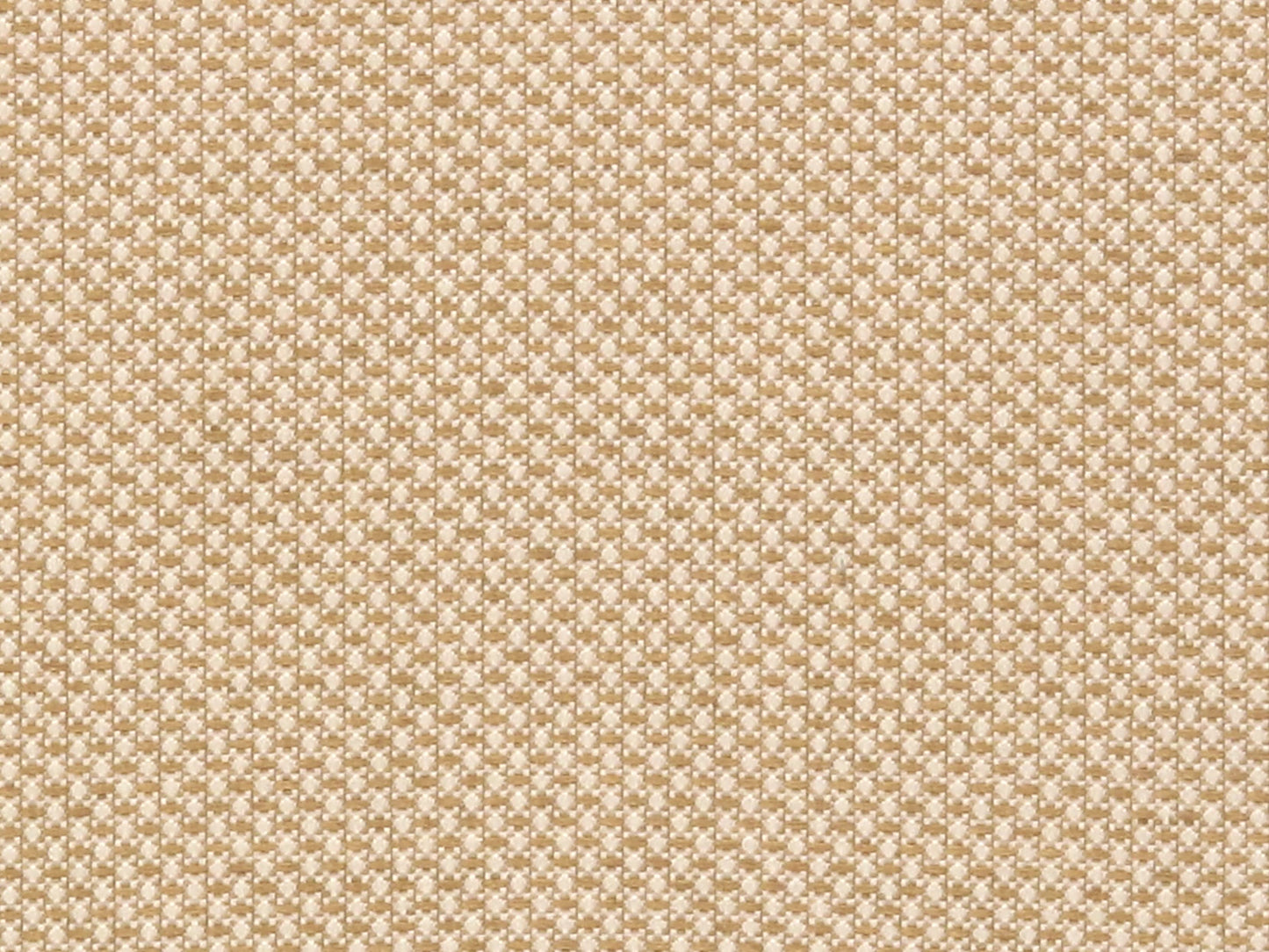 SCALAMANDRE OUTLET  FABRIC MITCHELL  FABRIC LIGHT BROWN   - ZB 00041790