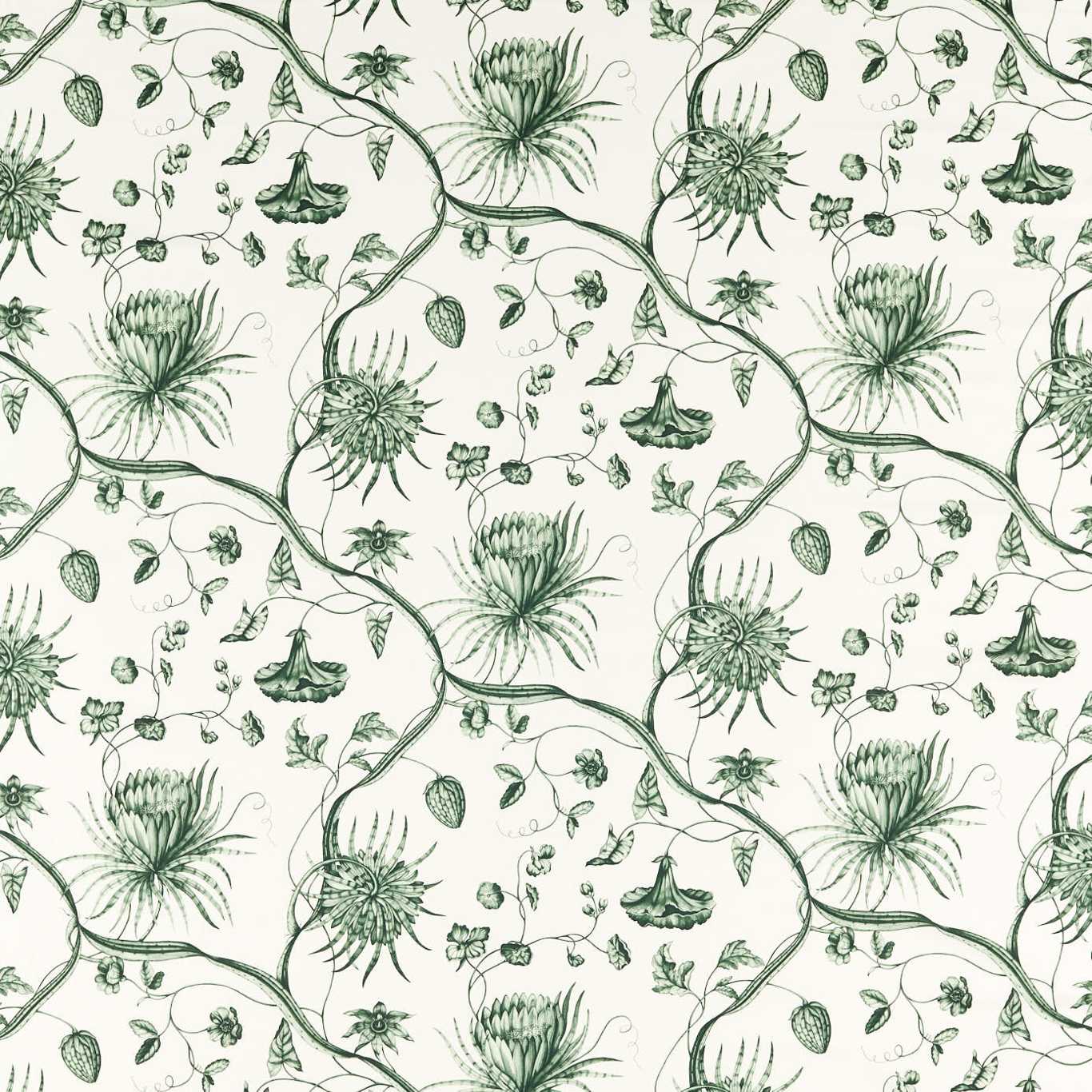 ZOFFANY Phaedra Toile Fabric Contemporary, Floral Huntsmans Green   - ZCOT322740