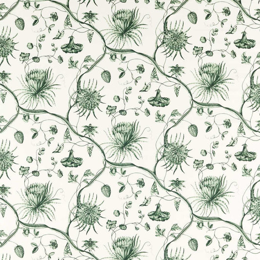 ZOFFANY Phaedra Toile Fabric Contemporary, Floral Huntsmans Green   - ZCOT322740